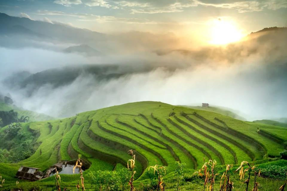 Kho gạo của Huỳnh Thị Thảo